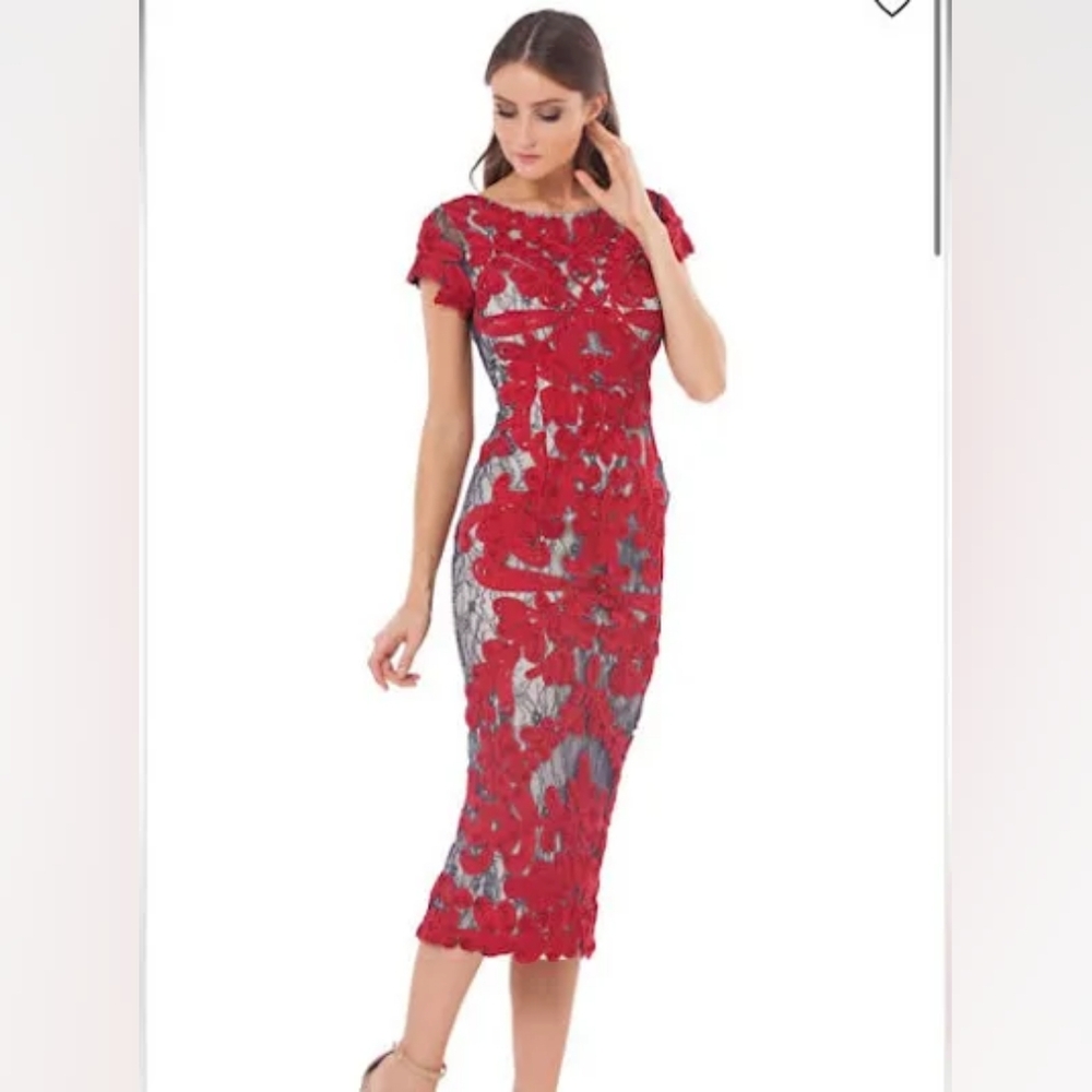 JS COLLECTIONS Brand New Dress from Dillards. SIZE 10